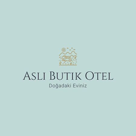 Asli Boutique Hotel Akbuk  Exterior photo